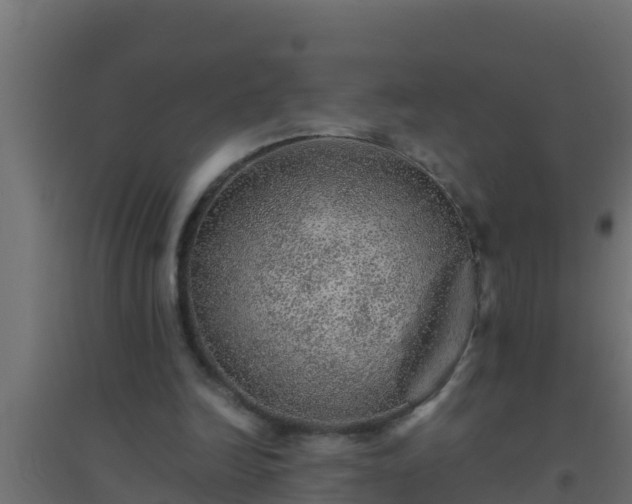 X0000094820246200711241514