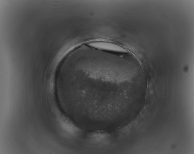 X0000094820247200711241514