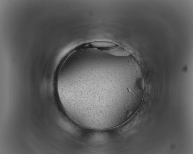 X0000094820248200711241514