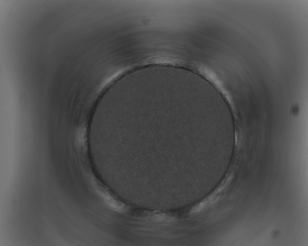 X0000094820249200711241514