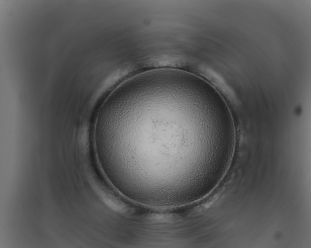 X0000094820250200711241514
