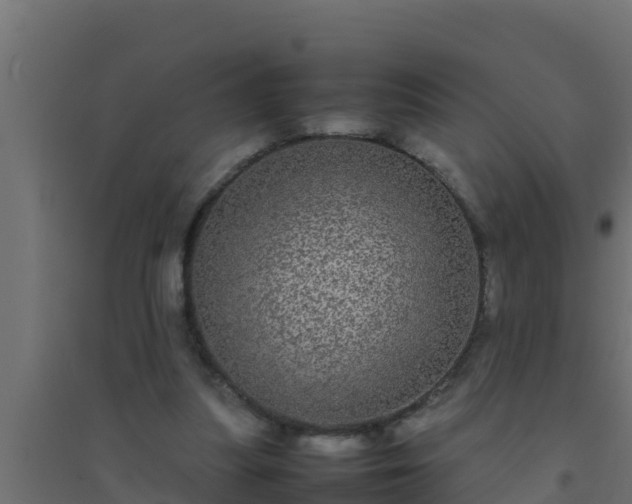 X0000094820251200711241514
