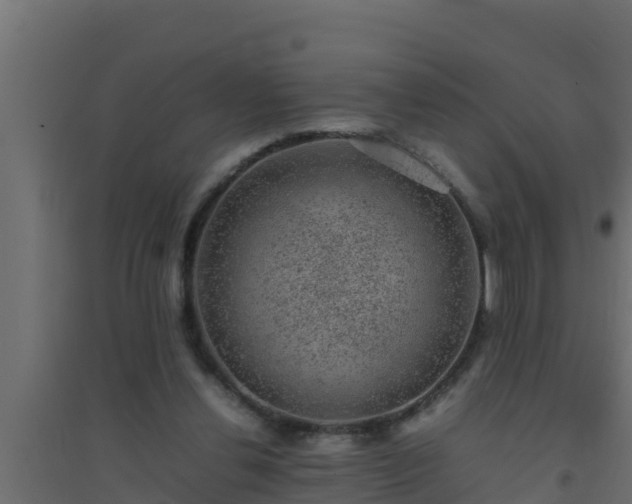 X0000094820252200711241514
