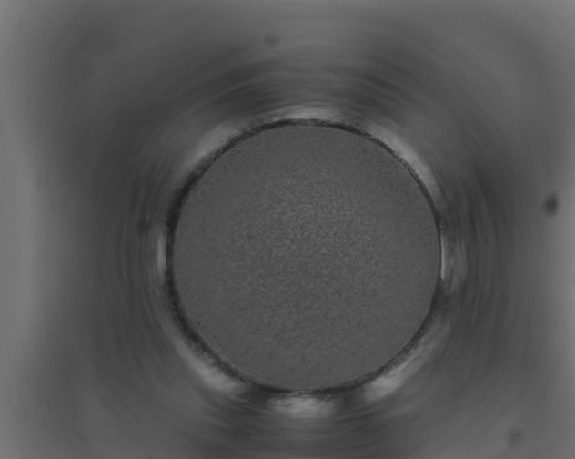 X0000094820253200711241514