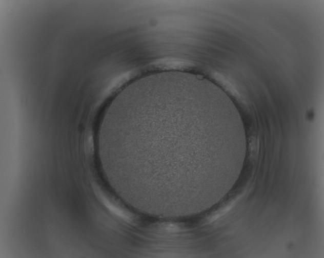 X0000094820254200711241514