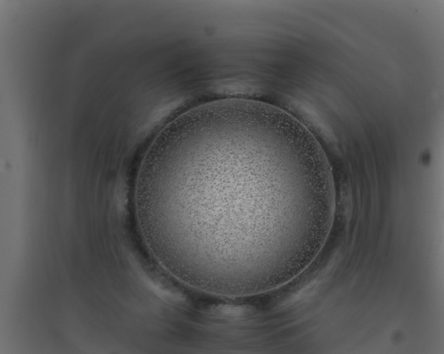 X0000094820255200711241514