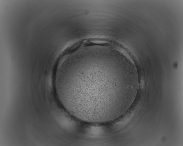 X0000094820256200711241514