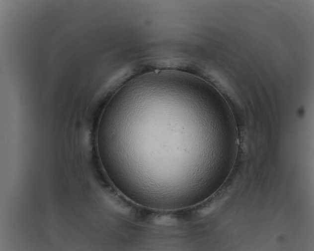 X0000094820258200711241514