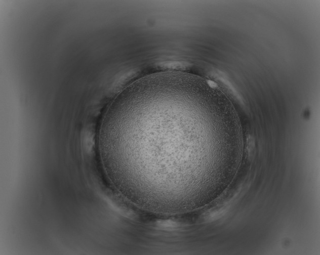 X0000094820259200711241514