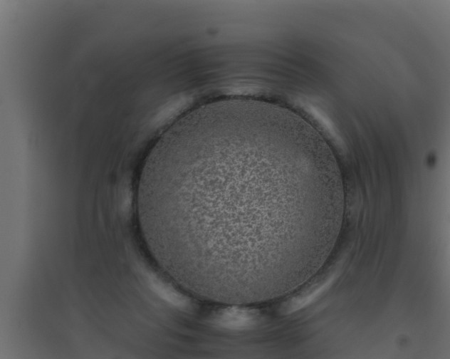 X0000094820261200711241515