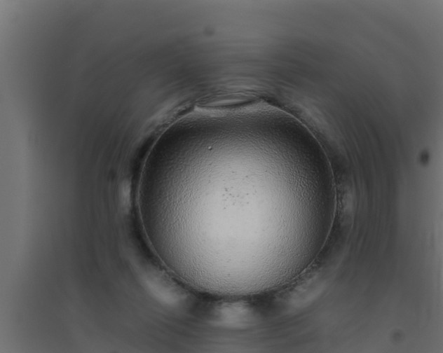 X0000094820262200711241515