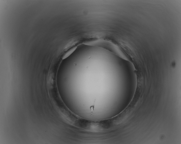 X0000094820264200711241515