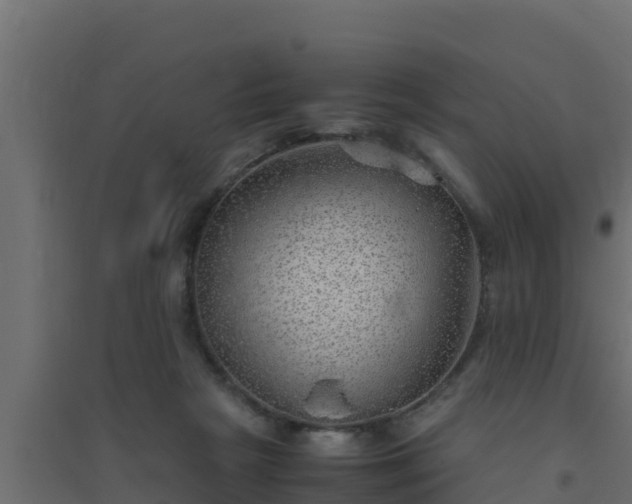 X0000094820265200711241515