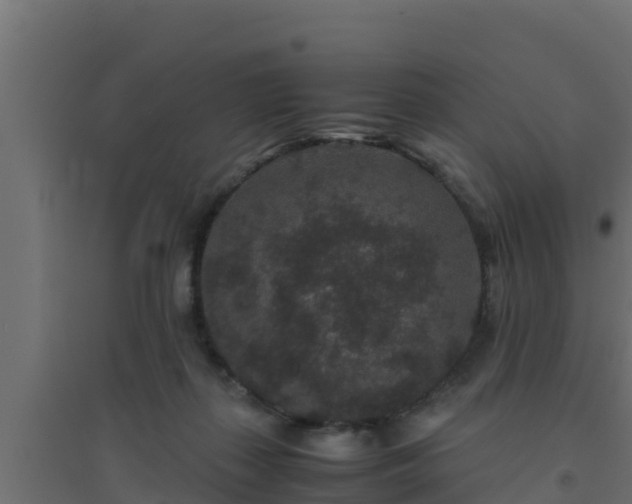 X0000094820267200711241515