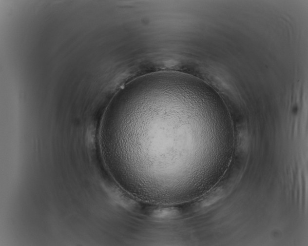 X0000094820274200711241515