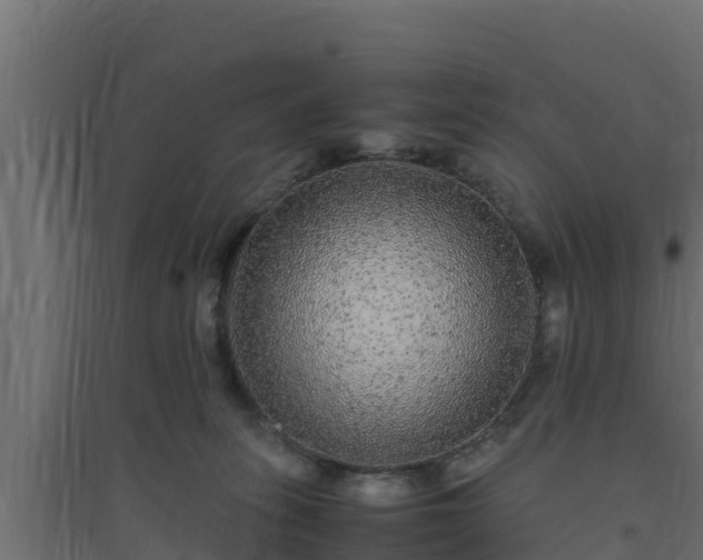 X0000094820275200711241515