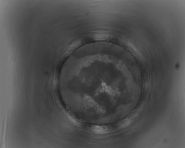 X0000094820277200711241515