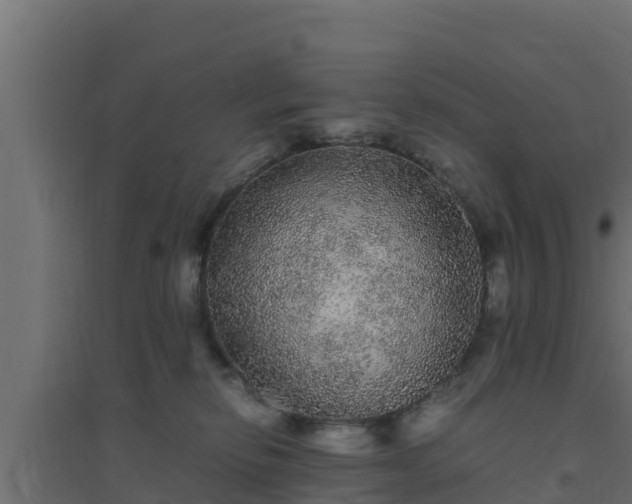X0000094820278200711241515