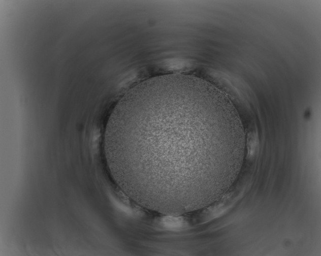 X0000094820279200711241515