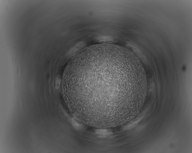 X0000094820281200711241515
