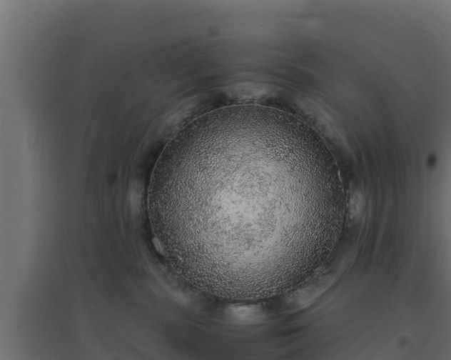 X0000094820283200711241515