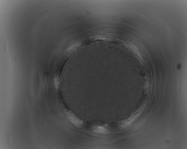 X0000094820285200711241515