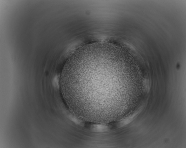 X0000094820286200711241515