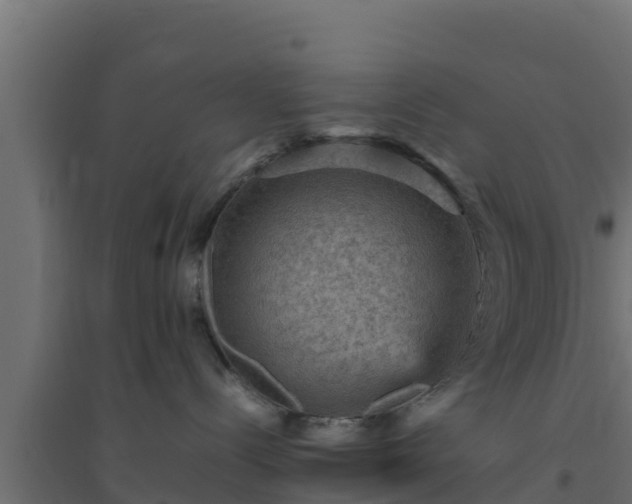 X0000094820288200711241515