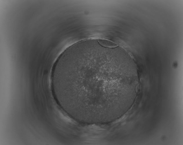 X0000094820290200711241514