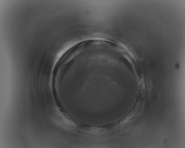 X0000094820292200711241514