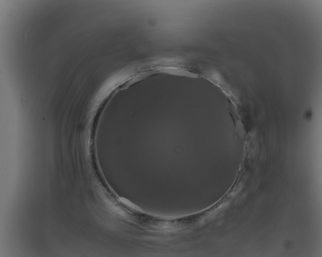 X0000094820293200711241514