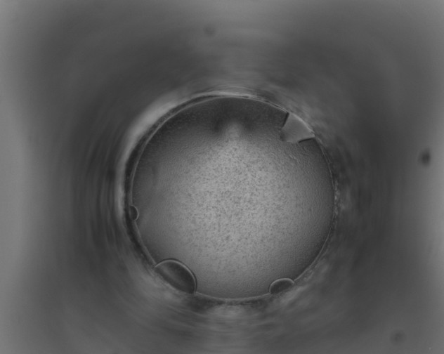 X0000094820294200711241514