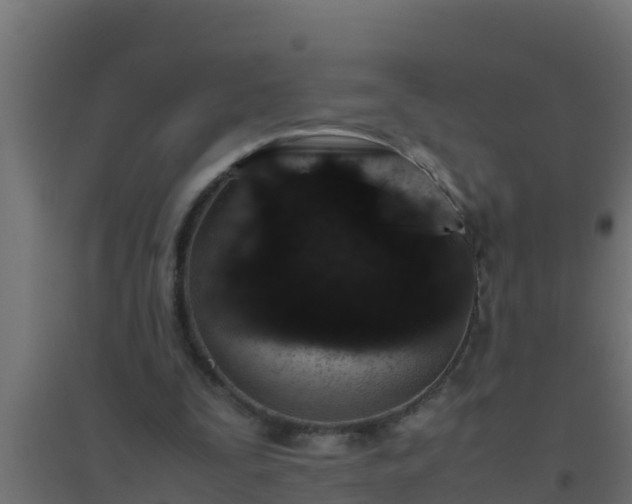 X0000094820295200711241514
