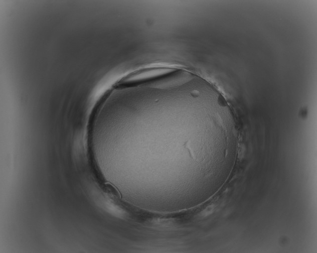 X0000094820296200711241514