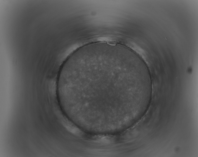 X0000094820297200711241514