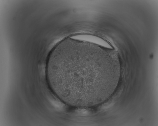 X0000094820299200711241514