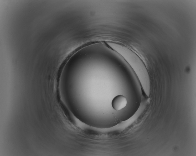 X0000094820301200711241514
