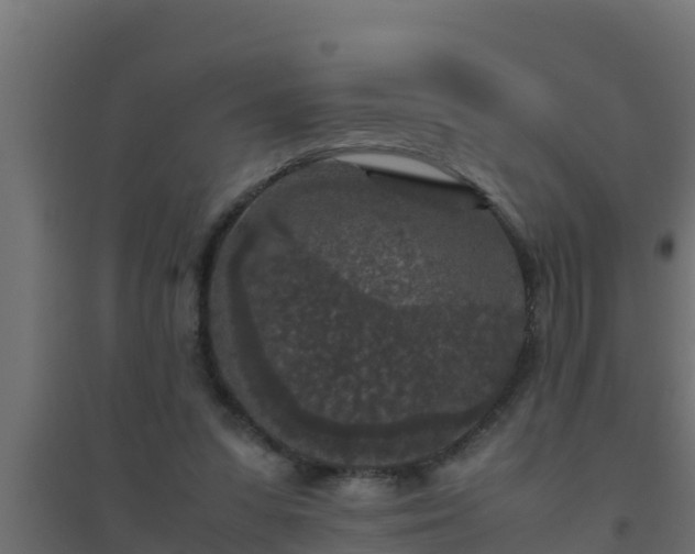 X0000094820303200711241514