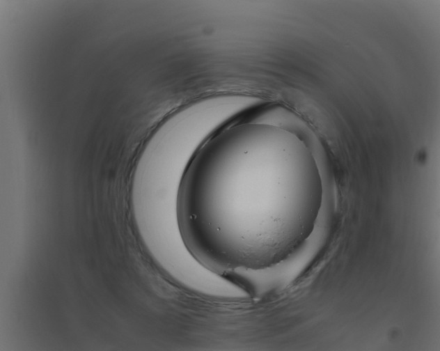 X0000094820305200711241514