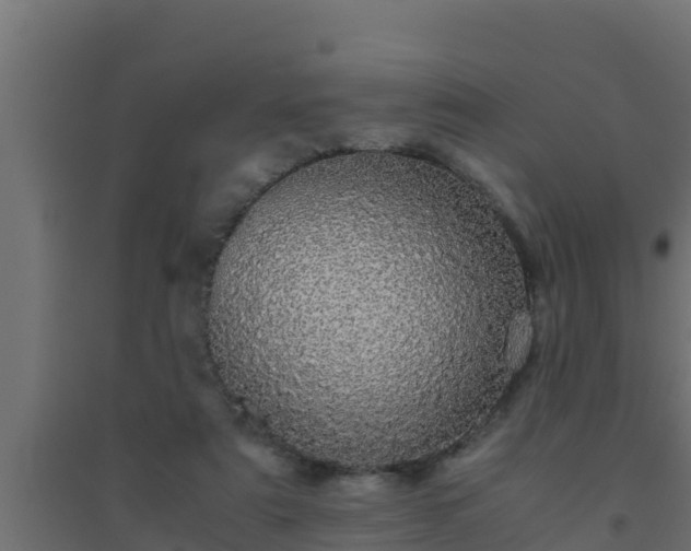 X0000094820307200711241514