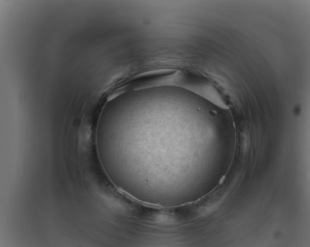 X0000094820308200711241514