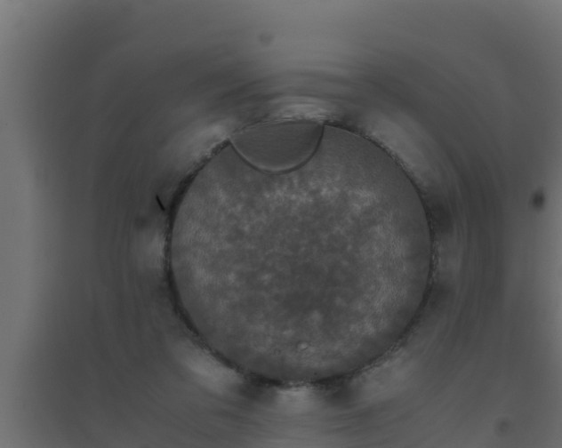 X0000094820309200711241514