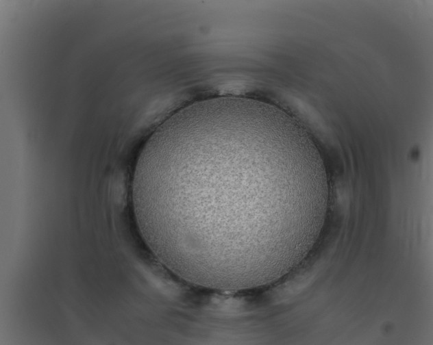 X0000094820311200711241514