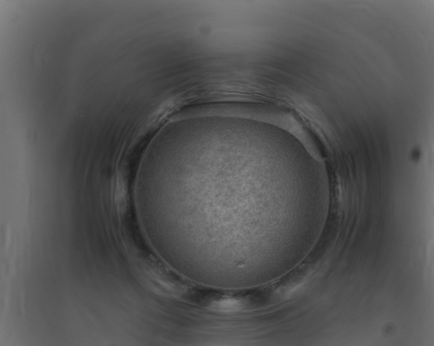 X0000094820312200711241514