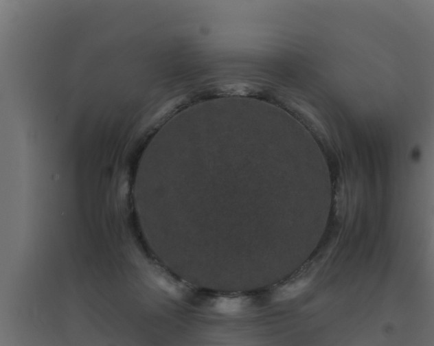 X0000094820314200711241514