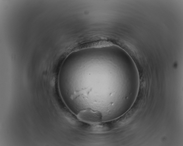 X0000094820315200711241514