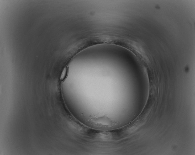 X0000094820317200711241514