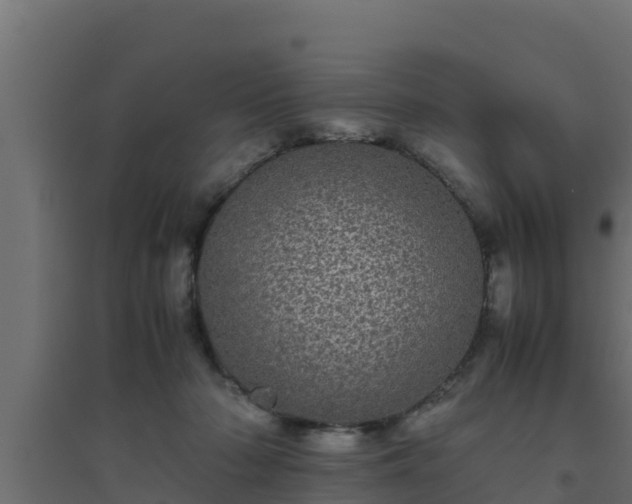 X0000094820318200711241514