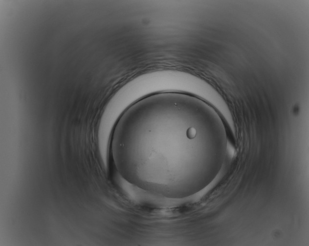 X0000094820320200711241514