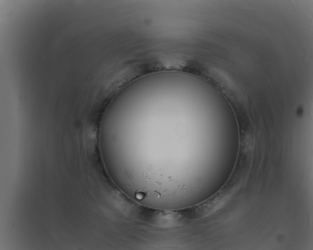 X0000094820321200711241514